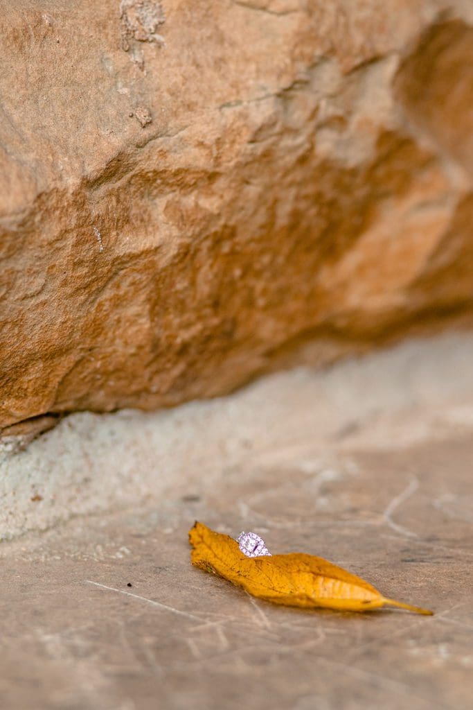 engagement photoshoot